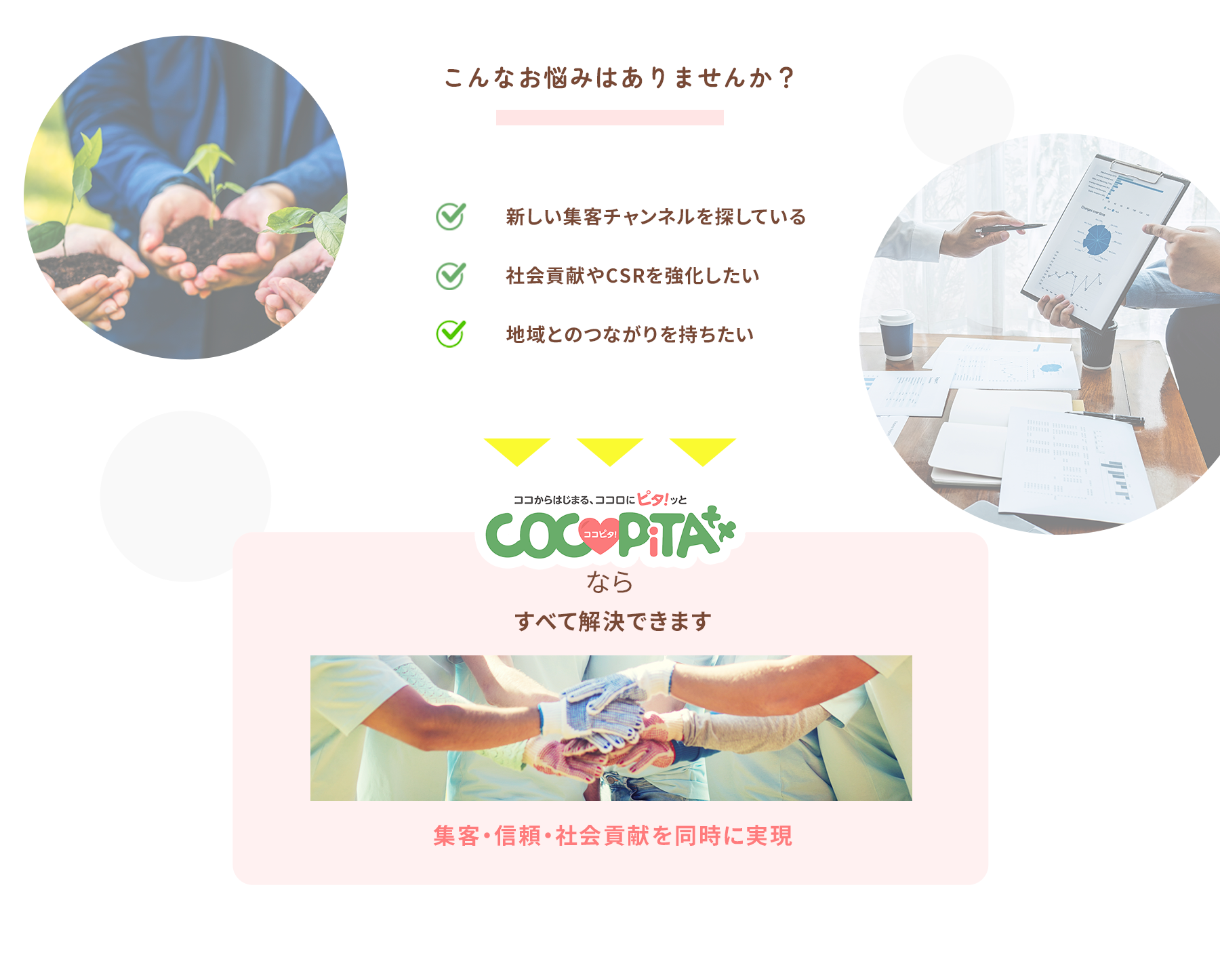 カード紹介